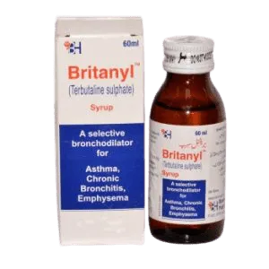 Britanly 60ml Syrup